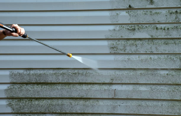 Best Affordable Pressure Washing  in Barboursville, WV